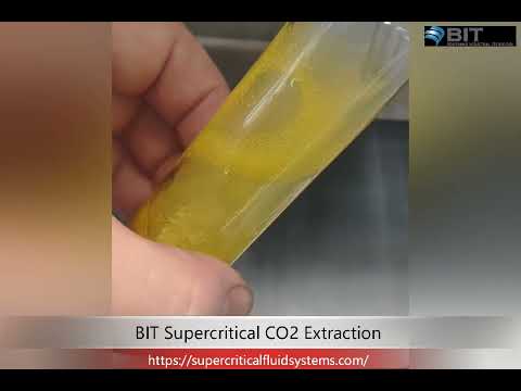 CO2 extraction of fennel essential oil