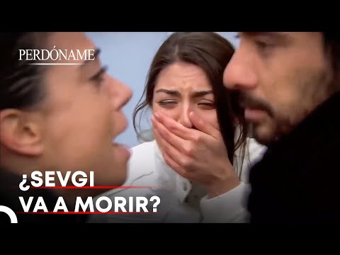 Berat Robó El Dinero De La Operación De Sevgi | Perdóname