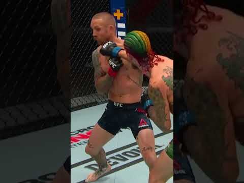 SEAN O'MALLEY VS HENRY CEJUDO AND BRYCE MITCHELL? | The JKS Podcast | #shorts