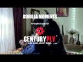 CenturyPly Gorilla In The Bedroom