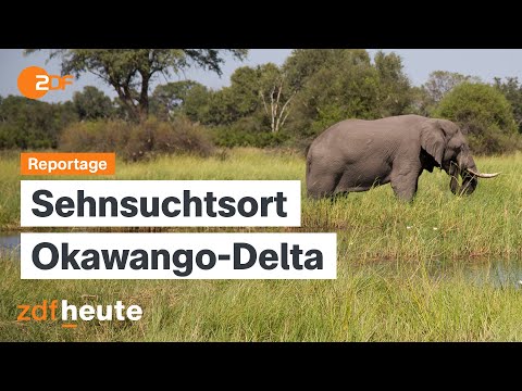 Auswandern nach Botswana: Der Traum von der Selbstständigkeit im Nationalpark