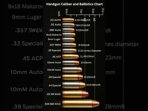 The Ultimate Bullet Lineup – From Smallest to Deadliest!” #shorts