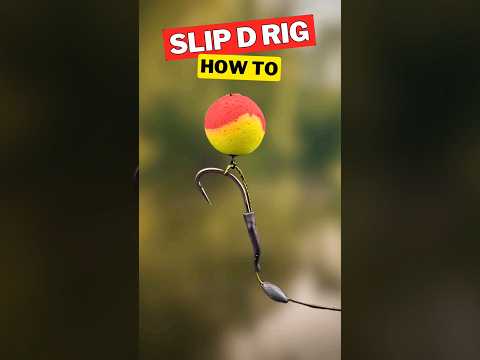 Quick Guide: Slip D Rig for Carp Fishing