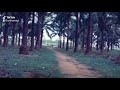 Bharat Ane Nenu Title Songs