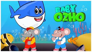 Baby Ozho Playing with Cute Little Shark Finger Family | Preschool rhymes for kids