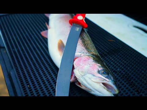 The ONLY STEELHEAD FILLET Tutorial You'll Ever Need!