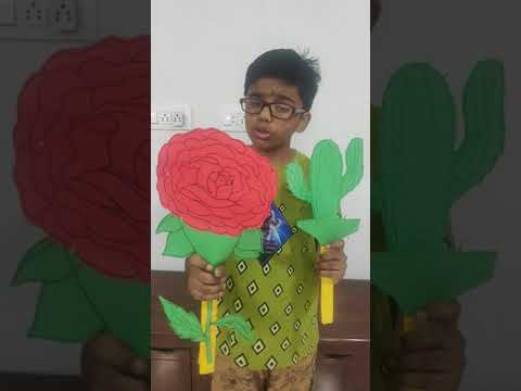 Story Telling Competition-HITANSH CLASS-4