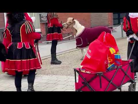 Party Piet Pablo - Dansen voor de Sint! ( Waregem 2021 )
