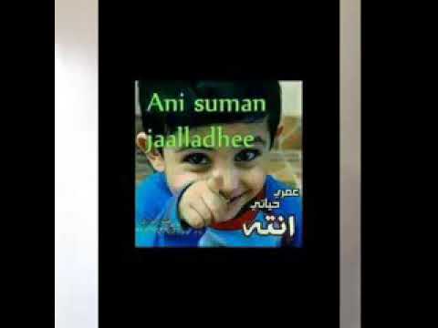 Joluma tenyan  erga walane