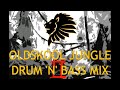 Oldskool Jungle Drum N Bass Mix Pt II 94 95
