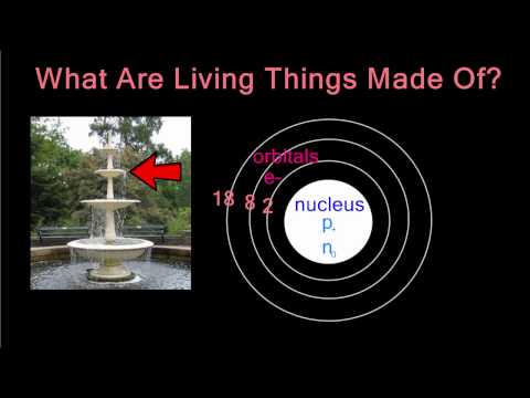 What Are Living Things Made Of?