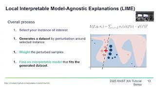 KAIST XAI Tutorial 2025 | Introduction to Local Explanation Methods | Artyom Tashyan (SAIL, KAIST)