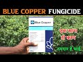 Blue Copper Fungicide Use In Hindi एक साथ दो काम करता हे Copper Oxyc
