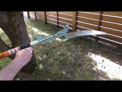Extension Tree Pruner