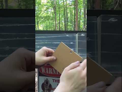 Federal American Eagle 130gr 38spl Revolver Test