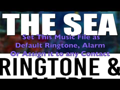 Under the Sea Ringtone & Alert Video