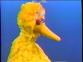 Sesame Street Big Bird Catches A Ball