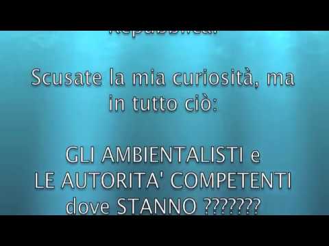 Porto di Siracusa IO NON CI STO !!!TANO.B