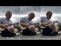 Ed Sheeran - Little Bird (Acoustic) 2024 #MyForgottenFavorites #edsheeran #littlebird