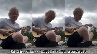 Ed Sheeran - Little Bird (Acoustic) 2024 #MyForgottenFavorites #edsheeran #littlebird