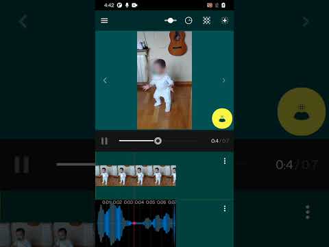Blur Faces in Video