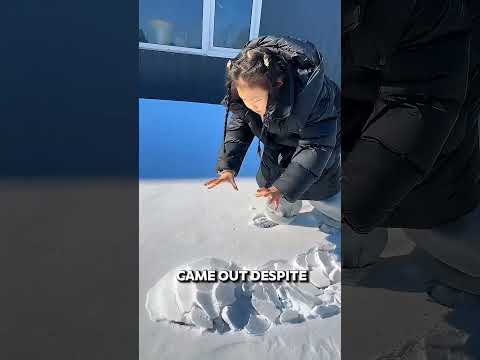 She Saw Something Moving Under the Snow… 😱❄️