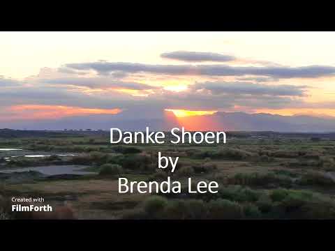 Danke Schoen - Brenda Lee