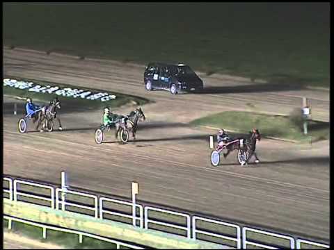 Trotto 30/11/2014 - 6° corsa