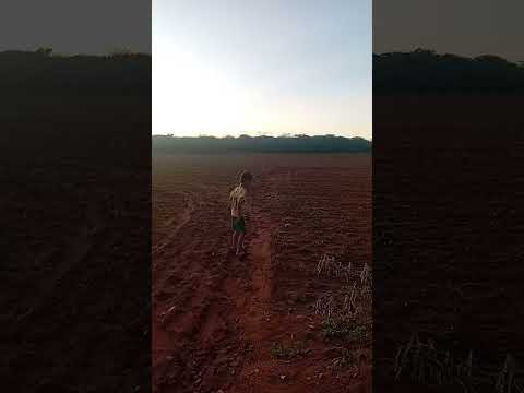 carnaiba pe sitio tamboril