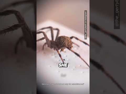 This Woman Shocked Everyone 😮 #shorts (@marta.eveywhere)