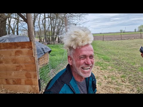 Harmónia Tanya - A KáRoLY új ruhája....(4 perc után Macskajaj, csak erős idegzetűeknek!)