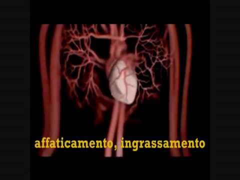 Il video per bere lo sperma di qualcun altro dalla moglie La codificazione da alcolismo in indirizzi di Donetsk