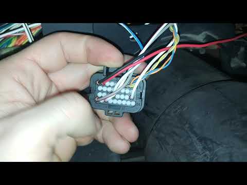 How to wire your Holley Pro Dash