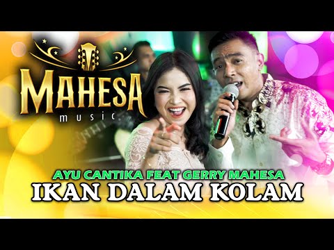 Fish in the pond - Ayu Cantika (Official Live Music)