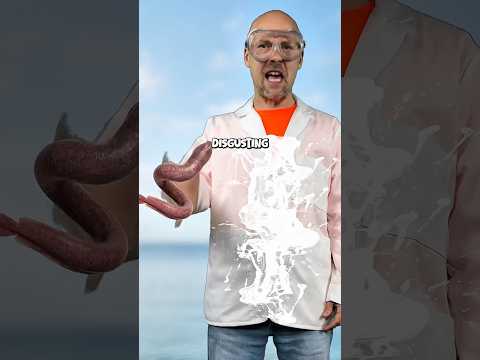 Hagfish