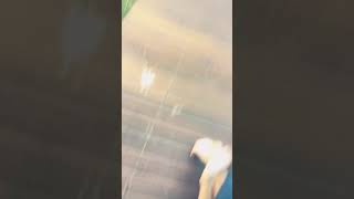 Random video with Koby and Brodie/first video