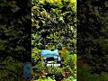HDR EDIT VIDEO NEW THAR WHATSAPP STATUS VIDEO SLOW REVERB Shorts Thar Hdr Tharlover Status