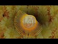 Njan Ninne Srishticha Daviam Malayalam Christian Whatsapp Status