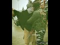 New Kashmiri Jihadi Tarana Whatsapp Status Islam Islamicstatus