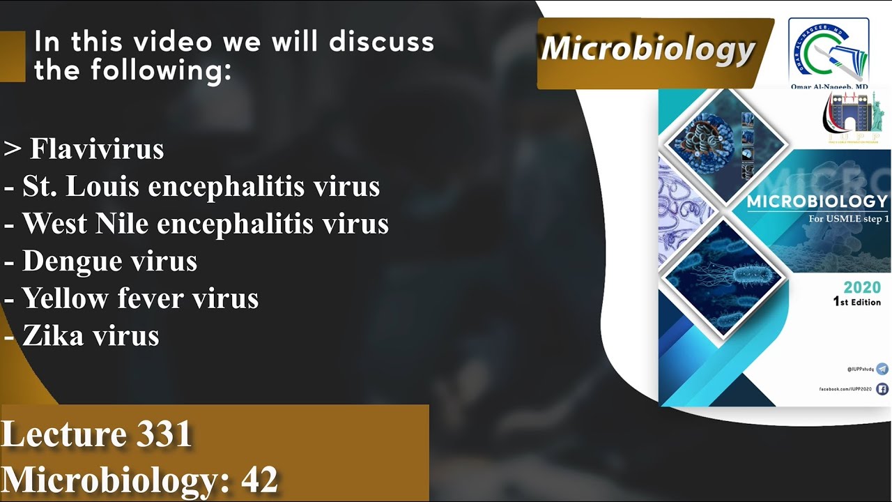 Flavivirus | Dengue virus | Yellow fever virus | Zika virus | St. Louis encephalitis