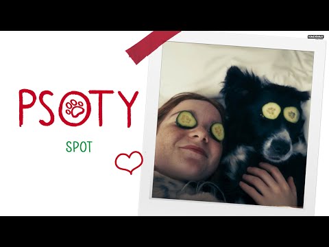 PSOTY | Przyjaźń ma cztery łapy! | Kino Świat