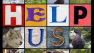 Erik Satie - Gymnopedie  N.1(Cafe Del Mar)