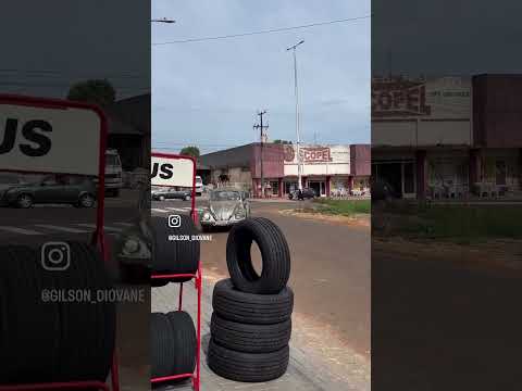 Cãozinho dando uma volta no teto do Fusca no Paraná