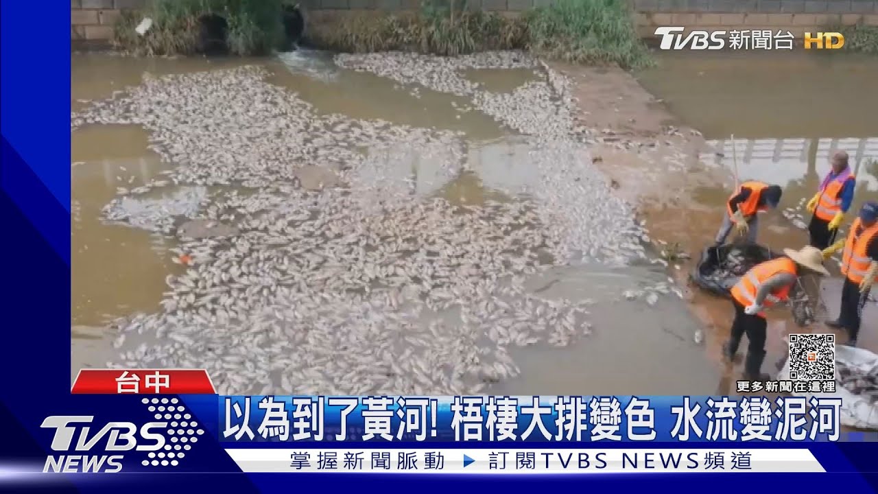 以為到了黃河!梧棲大排變色 水流變泥河