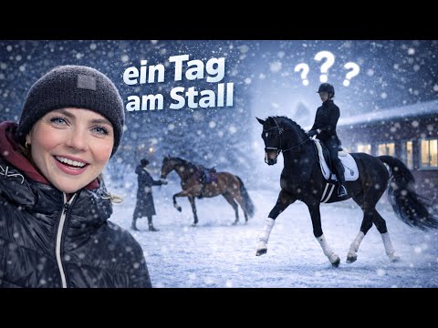 S** dressage horse 🤯🤩 | Snow 🥶 | A day at the stable | Borgel Sporthorses