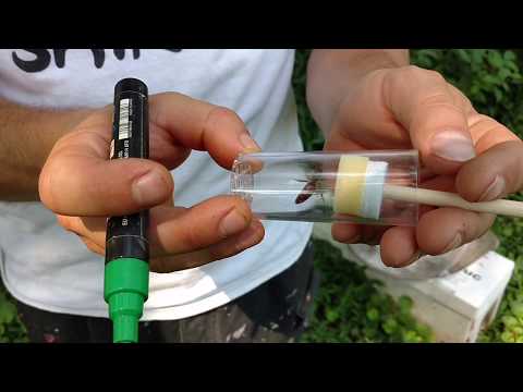 🔵Mark a Queenbee with a plunger and cage