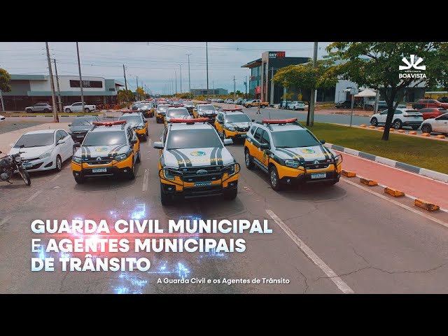 Thumbnail do Vídeo
