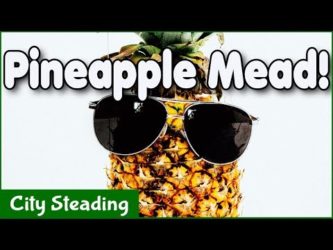Pineapple Mead tasting