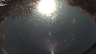 All sky camera capture from Poiana Rusca Mountains 2024-04-12