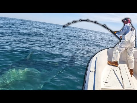 GIANT Bluefin Tuna Fishing Goes Horribly Wrong